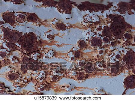 Stock Photo - Close-Up, Condition, Corroded, Corrosion, Damage. Fotosearch