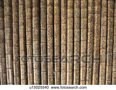 Stock Image - Bamboo. Fotosearch