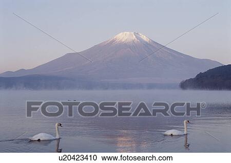 Stock Image - Mt. Fuji And Lake Yamanaka. Fotosearch
