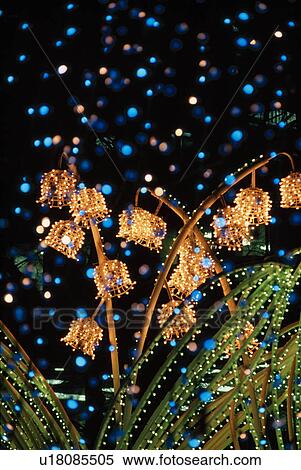 Flowers And Leaves With Lights View Large Photo Image Stock Photography - Flowers And Leaves With Lights. Fotosearch