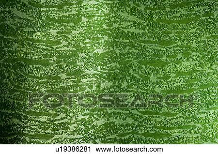 Stock Image - Close-up of handmade paper. Fotosearch