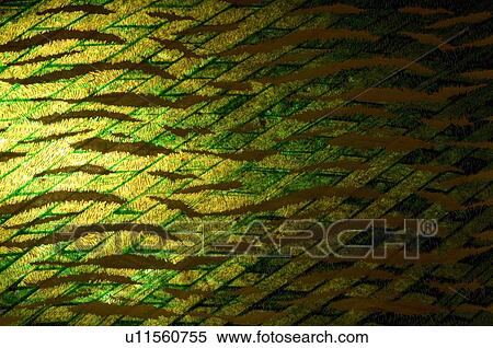 Stock Photography - Close-up of a pattern on handmade paper. Fotosearch