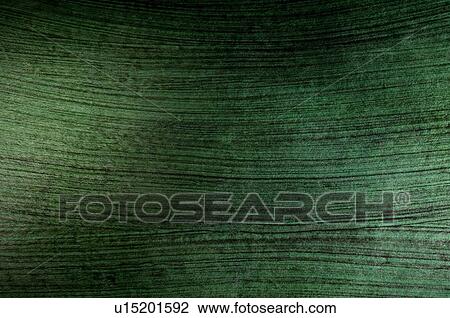Close-up of handmade paper View Large Photo Image Stock Image - Close-up of handmade paper. Fotosearch