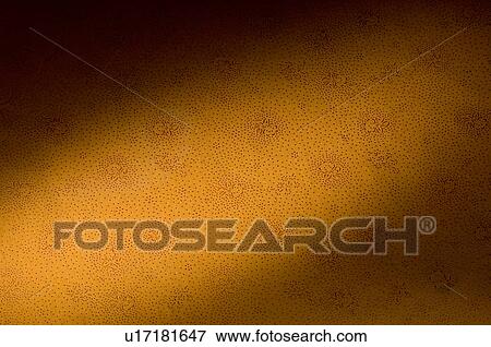 Stock Photo - Close-up of spots on handmade paper. Fotosearch