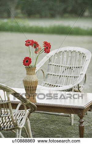 Close-up of a flower pot on the table View Large Photo Image Stock Photo - Close-up of a flower pot on the table. Fotosearch