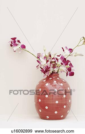 Close-up of flowers in a vase View Large Photo Image Stock Photo - Close-up of flowers in a vase. Fotosearch