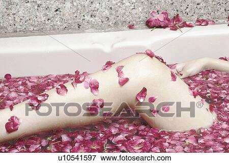 Close-up of woman's leg in a bathtub filled with flower petals View Large Photo Image Stock Photo - Close-up of woman's leg in a bathtub filled with flower petals. Fotosearch