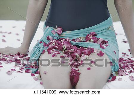 Rose petals on a woman's lap View Large Photo Image Stock Photo - Rose petals on a woman's lap. Fotosearch
