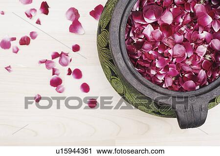 High angle view of rose petals in a pot View Large Photo Image Stock Image - High angle view of rose petals in a pot. Fotosearch