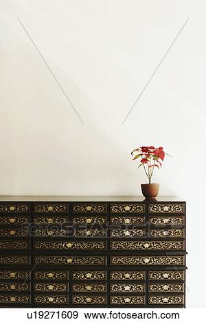 Potted plant on a cabinet View Large Photo Image Stock Photo - Potted plant on a cabinet. Fotosearch