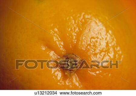 Picture - Fruit, Fruits, Orange, Orange fruit, Skin, Peel, Rind. Fotosearch