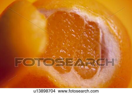 Picture - Fruit, Fruits, Orange, Orange fruit, Skin, Peel, Rind. Fotosearch
