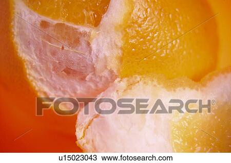 Stock Image - Fruit, Fruits, Orange, Orange fruit, Skin, Peel, Rind. Fotosearch