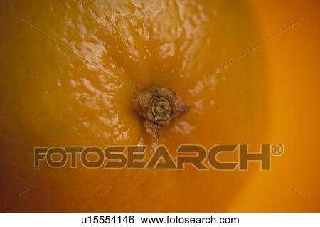 Fruit, Fruits, Orange, Orange fruit, Skin, Peel, Rind View Large Photo Image Stock Photograph - Fruit, Fruits, Orange, Orange fruit, Skin, Peel, Rind. Fotosearch