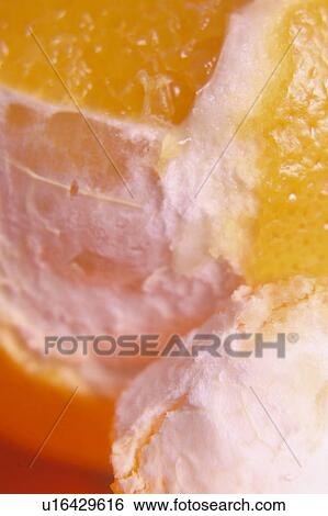 Stock Photograph - Fruit, Fruits, Orange, Orange fruit, Skin, Peel, Rind. Fotosearch