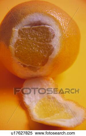 Fruit, Fruits, Orange, Orange fruit, Skin, Peel, Rind View Large Photo Image Stock Photography - Fruit, Fruits, Orange, Orange fruit, Skin, Peel, Rind. Fotosearch