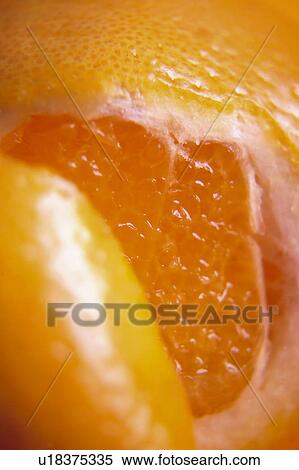 Stock Photography - Fruit, Fruits, Orange, Orange fruit, Skin, Peel, Rind. Fotosearch