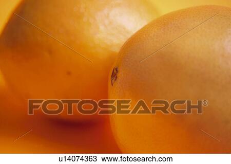 Fruit, Fruits, Orange, Oranges, Orange fruit, Orange fruits, Two View Large Photo Image Stock Image - Fruit, Fruits, Orange, Oranges, Orange fruit, Orange fruits, Two. Fotosearch