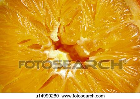 Fruit, Fruits, Orange, Oranges, Orange fruit, Orange fruits, Cut View Large Photo Image Stock Image - Fruit, Fruits, Orange, Oranges, Orange fruit, Orange fruits, Cut. Fotosearch