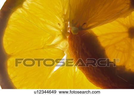 Fruit, Fruits, Orange, Oranges, Orange fruit, Orange fruits, Cut View Large Photo Image Stock Photo - Fruit, Fruits, Orange, Oranges, Orange fruit, Orange fruits, Cut. Fotosearch