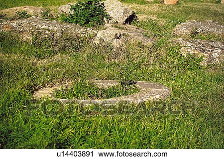 Textura Texturas Fundo Fundos Textura Fundo Natureza Natureza Fundo Banco De Imagem U14403891 Fotosearch