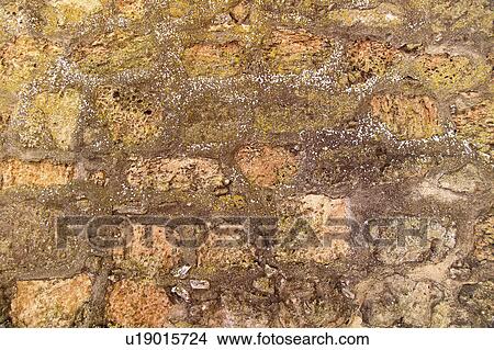 Picture - Texture, Textures, Background, Backgrounds, Texture background, Wall, Paved. Fotosearch