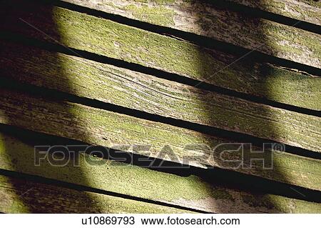 Stock Image - Texture, Textures, Background, Backgrounds, Texture background, Wood, Wooden blind. Fotosearch