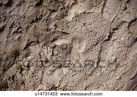 Texture, Textures, Background, Backgrounds, Texture background, Wall, Concrete View Large Photo Image Stock Image - Texture, Textures, Background, Backgrounds, Texture background, Wall, Concrete. Fotosearch