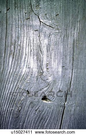 Stock Image - Texture, Textures, Background, Backgrounds, Texture background, Trunk, Log. Fotosearch