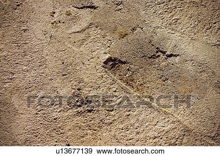 Texture, Textures, Background, Backgrounds, Texture background, Wall, Concrete View Large Photo Image Stock Photo - Texture, Textures, Background, Backgrounds, Texture background, Wall, Concrete. Fotosearch