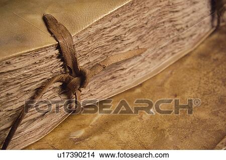Book, Books, Background, Backgrounds, Sheet, Sheets, Page View Large Photo Image Picture - Book, Books, Background, Backgrounds, Sheet, Sheets, Page. Fotosearch