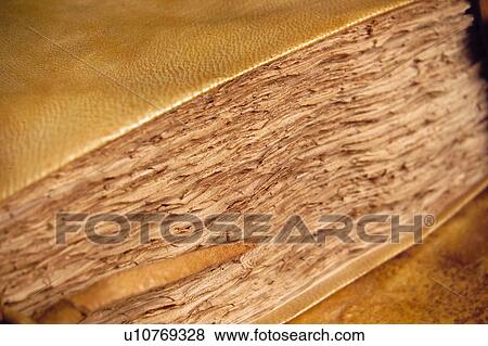 Stock Photo - Book, Books, Background, Backgrounds, Sheet, Sheets, Page. Fotosearch