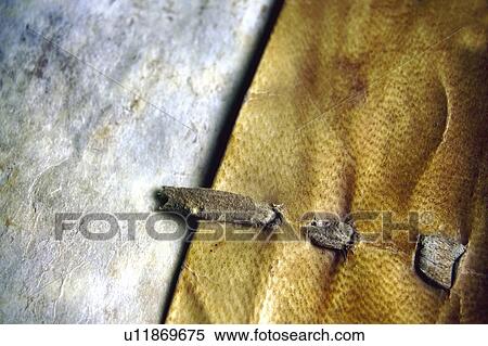 Stock Photography - Book, Books, Background, Backgrounds, Antique, Antique book, Yellowish. Fotosearch