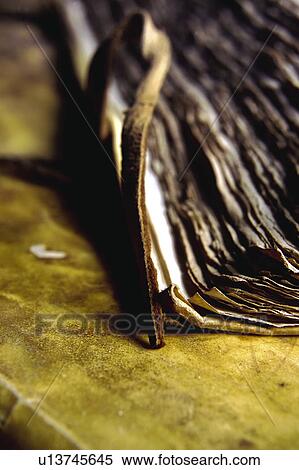 Book, Books, Background, Backgrounds, Sheet, Sheets, Page View Large Photo Image Stock Photography - Book, Books, Background, Backgrounds, Sheet, Sheets, Page. Fotosearch