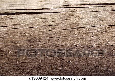 Texture, Textures, Background, Backgrounds, Texture background, Trunk, Log View Large Photo Image Picture - Texture, Textures, Background, Backgrounds, Texture background, Trunk, Log. Fotosearch