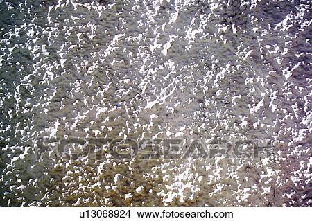 Picture - Texture, Textures, Background, Backgrounds, Texture background, Driped, Paint. Fotosearch