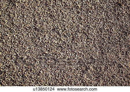 Texture, Textures, Background, Backgrounds, Texture background, Wall, Rough View Large Photo Image Picture - Texture, Textures, Background, Backgrounds, Texture background, Wall, Rough. Fotosearch
