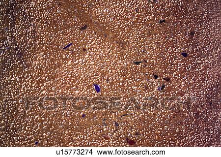 Picture - Texture, Textures, Background, Backgrounds, Texture background, Wall, Rough. Fotosearch