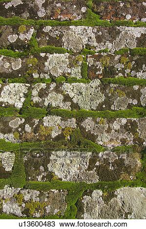 Texture, Textures, Background, Backgrounds, Texture background, Floor, Paved View Large Photo Image Stock Image - Texture, Textures, Background, Backgrounds, Texture background, Floor, Paved. Fotosearch