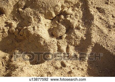 Texture, Textures, Background, Backgrounds, Texture background, Sand, Beach View Large Photo Image Stock Image - Texture, Textures, Background, Backgrounds, Texture background, Sand, Beach. Fotosearch