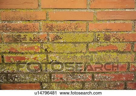 Stock Image - Texture, Textures, Background, Backgrounds, Texture background, Wall, Brick. Fotosearch