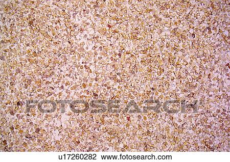 Stock Image - Texture, Textures, Background, Backgrounds, Texture background, Wall, Rough. Fotosearch