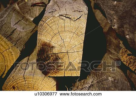 Stock Photo - Texture, Textures, Background, Backgrounds, Texture background, Trunk, Log. Fotosearch