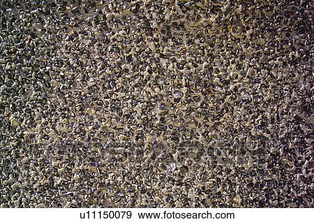 Texture, Textures, Background, Backgrounds, Texture background, Floor, Paved View Large Photo Image Stock Photo - Texture, Textures, Background, Backgrounds, Texture background, Floor, Paved. Fotosearch