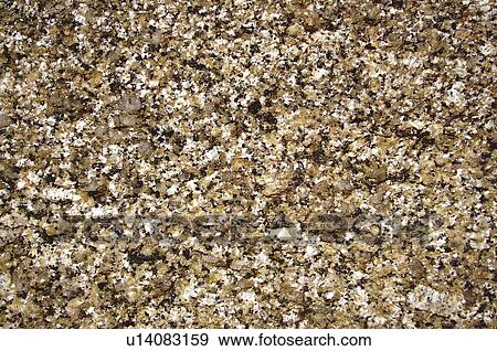 Texture, Textures, Background, Backgrounds, Texture background, Floor, Paved View Large Photo Image Stock Photo - Texture, Textures, Background, Backgrounds, Texture background, Floor, Paved. Fotosearch