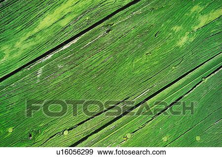 Texture, Textures, Background, Backgrounds, Texture background, Wood, Plank View Large Photo Image Stock Photo - Texture, Textures, Background, Backgrounds, Texture background, Wood, Plank. Fotosearch