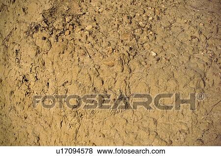 Stock Photo - Texture, Textures, Background, Backgrounds, Texture background, Wall, Concrete. Fotosearch