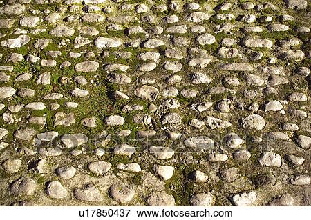 Texture, Textures, Background, Backgrounds, Texture background, Floor, Paved View Large Photo Image Stock Photo - Texture, Textures, Background, Backgrounds, Texture background, Floor, Paved. Fotosearch