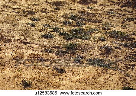 Stock Photography - Texture, Textures, Background, Backgrounds, Texture background, Muntain. Fotosearch