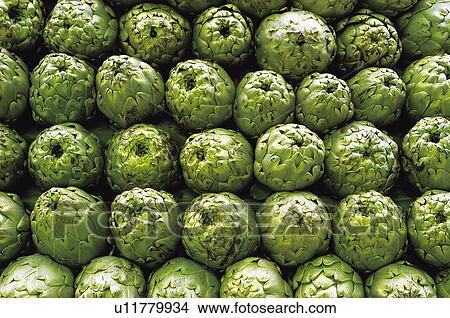 Fruits and vegetables, Fruits and vegetables background, Fruits and vegetables backgrounds, Background, Fruit, Fruit background, Custard apple View Large Photo Image Picture - Fruits and vegetables, Fruits and vegetables background, Fruits and vegetables backgrounds, Background, Fruit, Fruit background, Custard apple. Fotosearch
